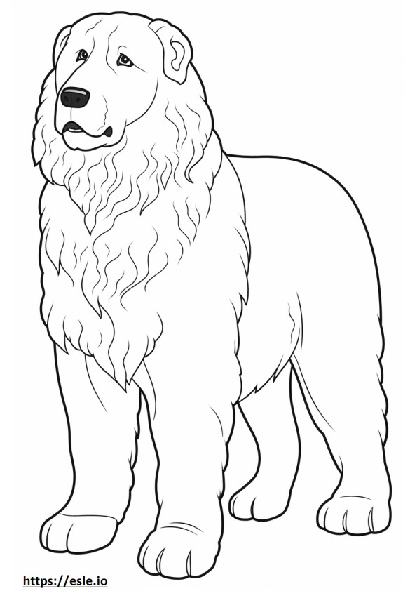 Bernedoodle full body coloring page