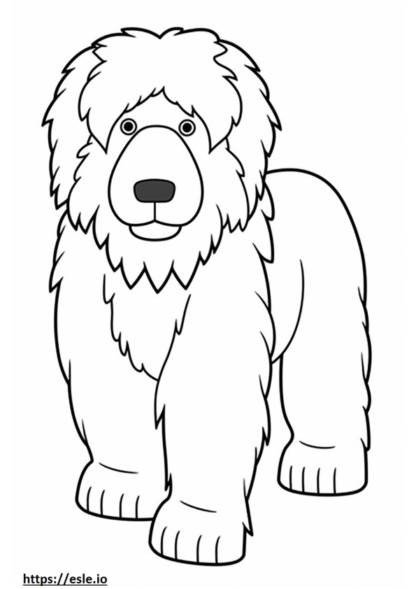 Bernedoodle baby coloring page
