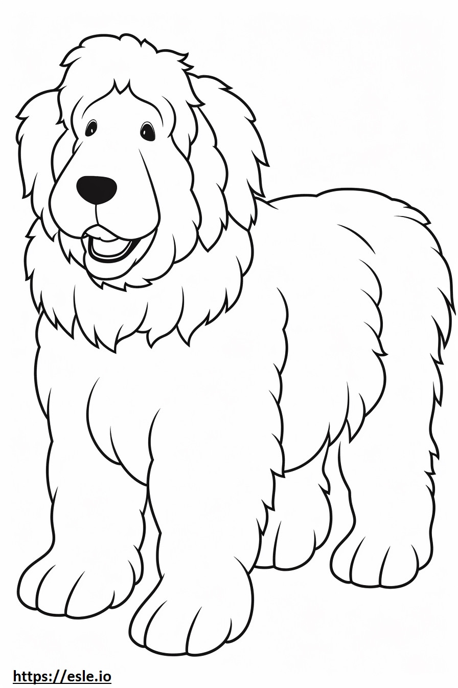 Bernedoodle cartoon coloring page