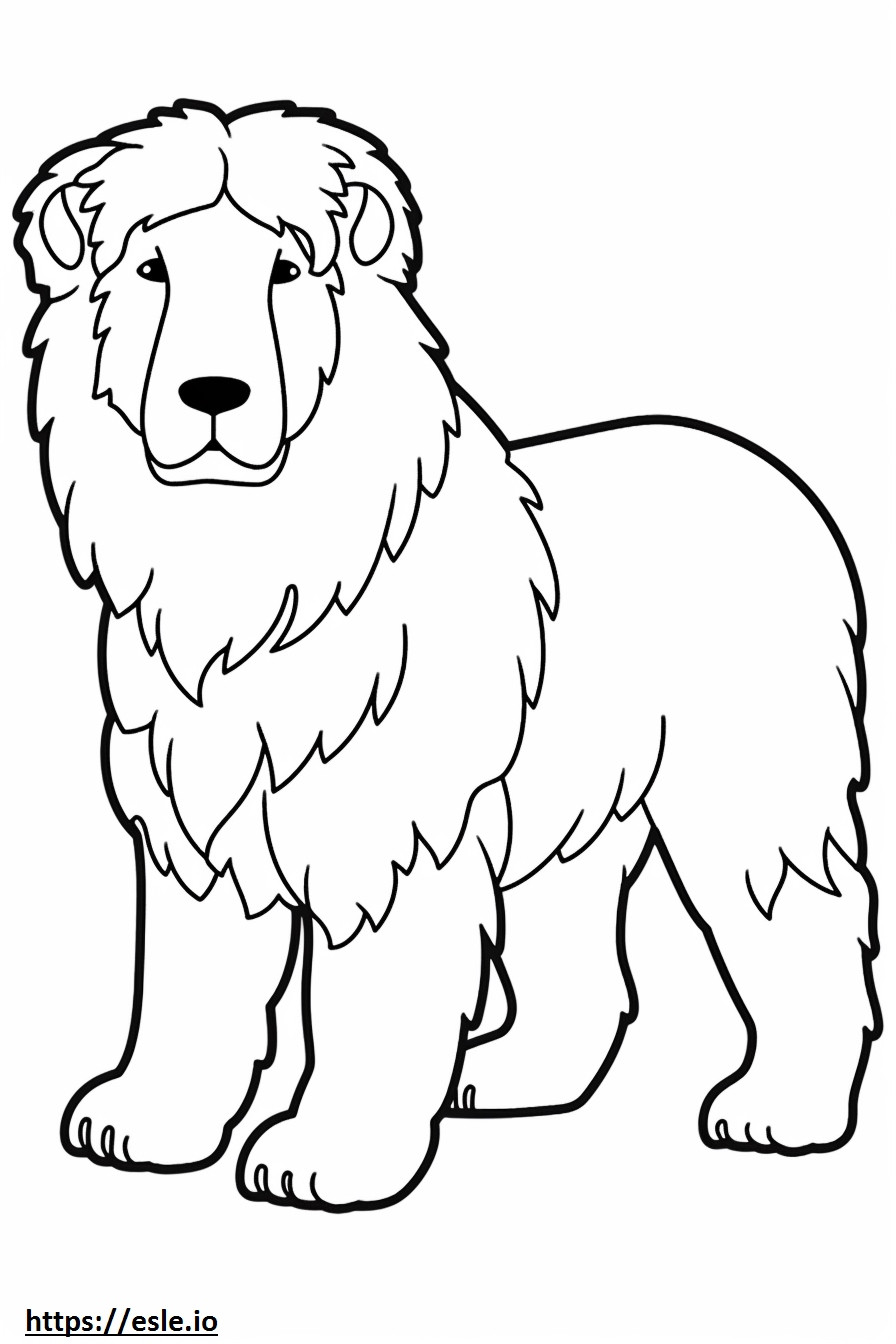 Bernedoodle cute coloring page
