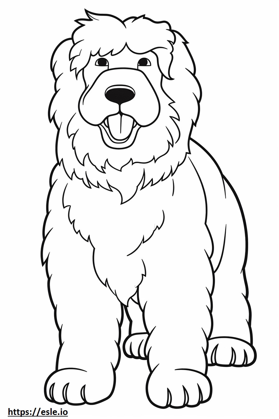 Bernedoodle happy coloring page