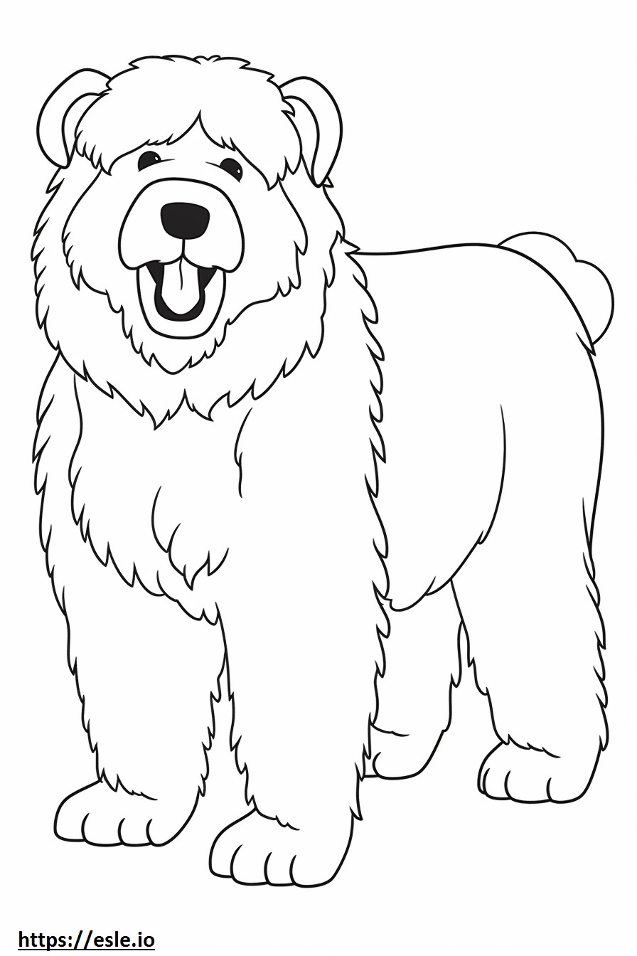 Bernedoodle happy coloring page