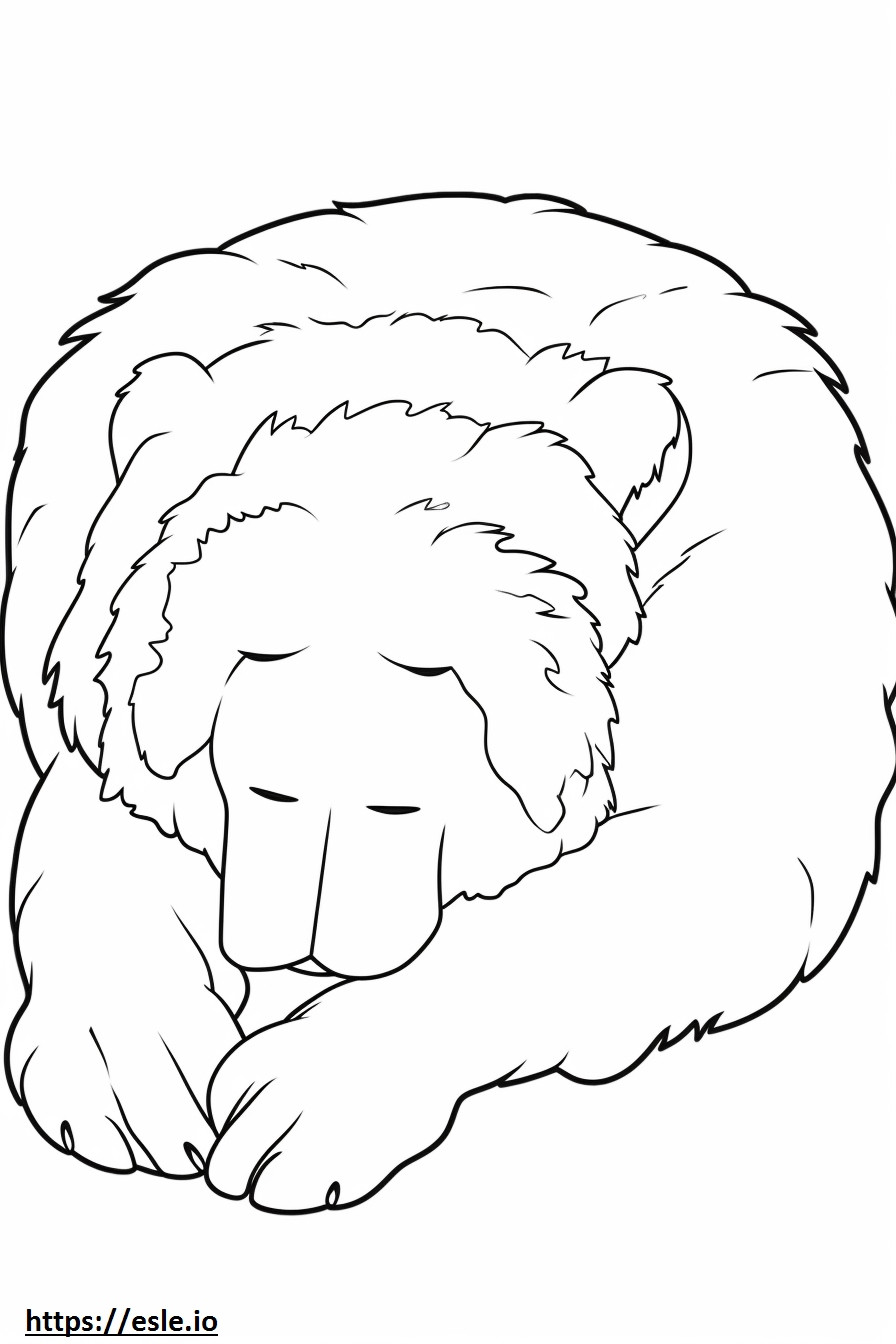 Bernedoodle Sleeping coloring page