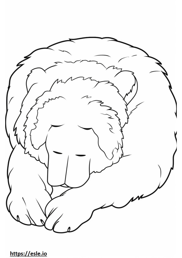 Bernedoodle Sleeping coloring page