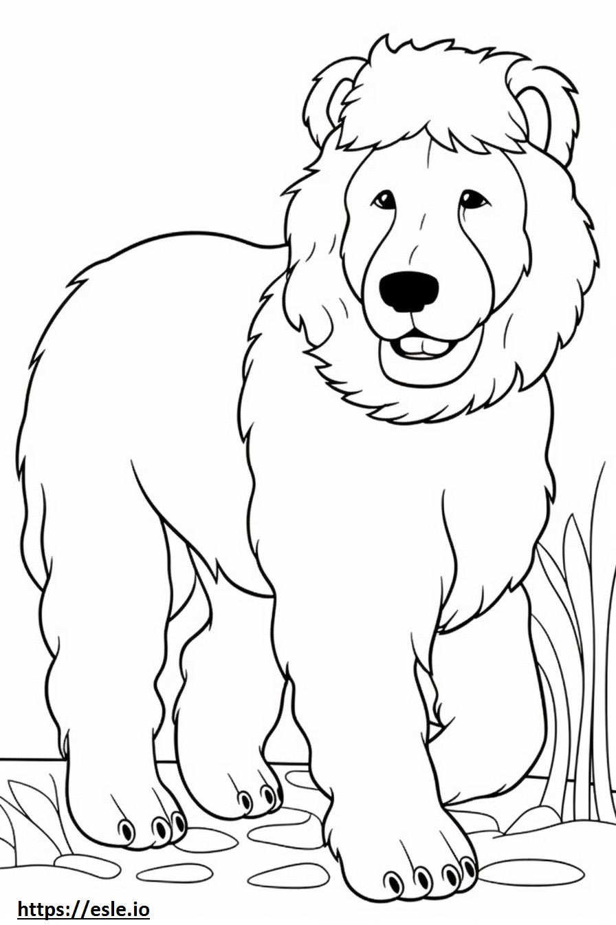 Bernedoodle Playing coloring page