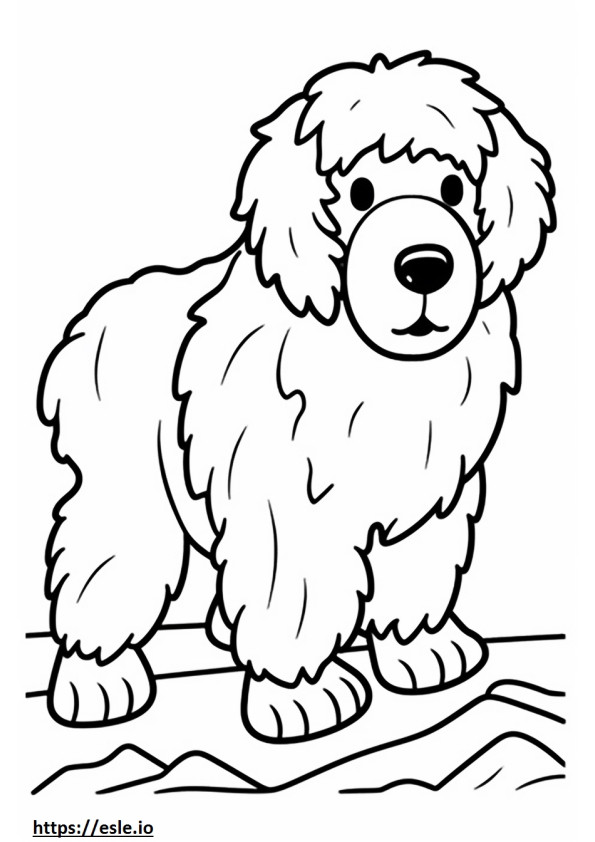 Bernedoodle Playing coloring page