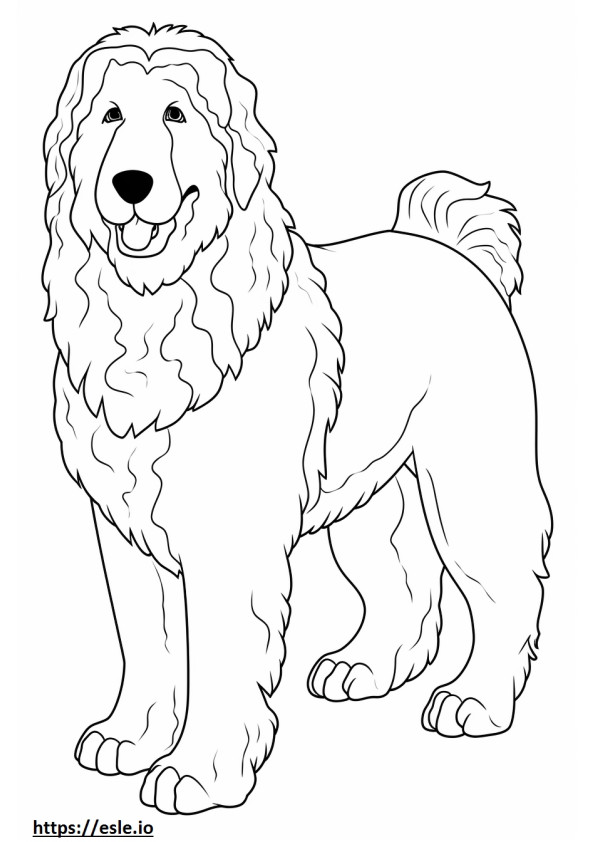 Bernedoodle Friendly coloring page