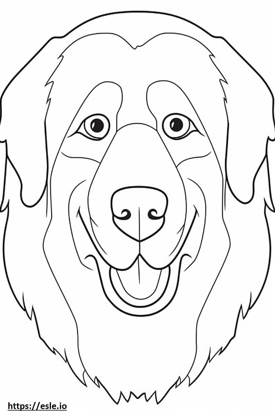 Berner Sennenhond gezicht kleurplaat kleurplaat