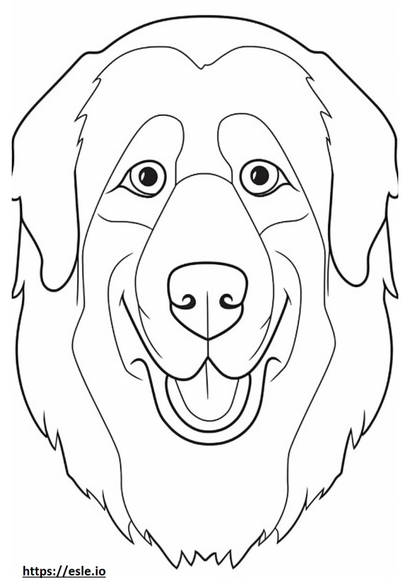 Cara del perro de montaña de Berna para colorear e imprimir