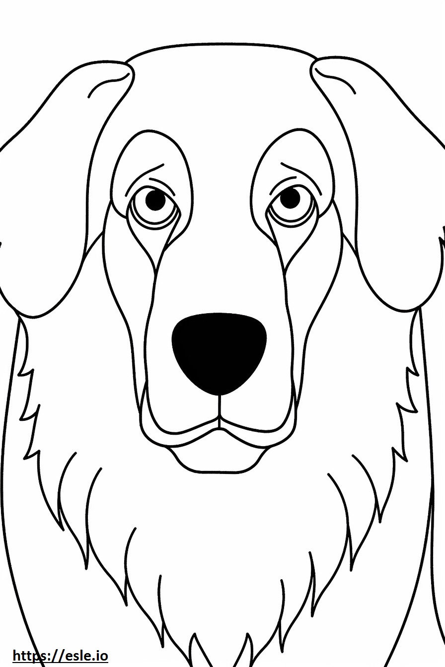 Bernese Mountain Dog face coloring page