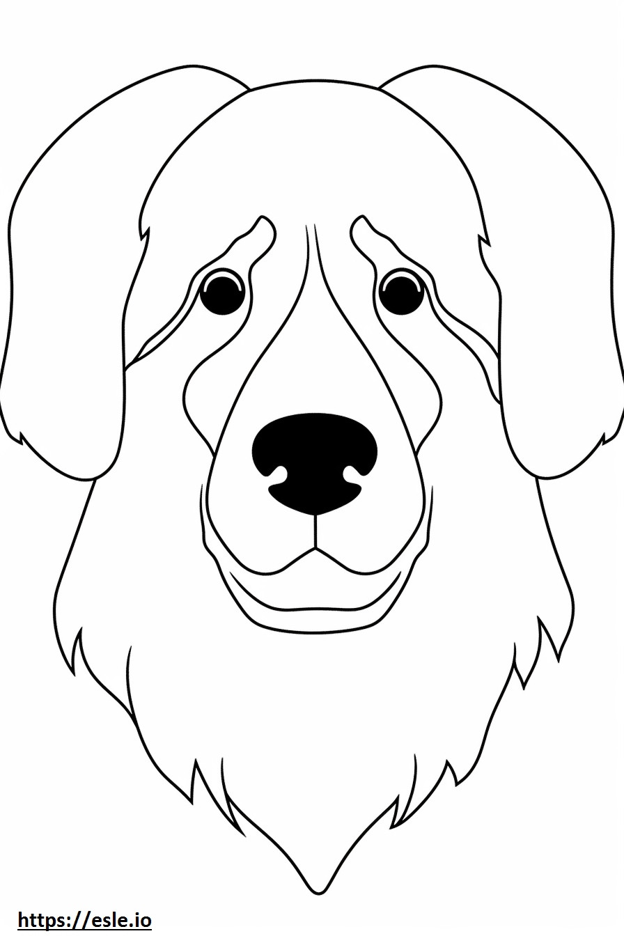 Față de câine de munte bernez de colorat