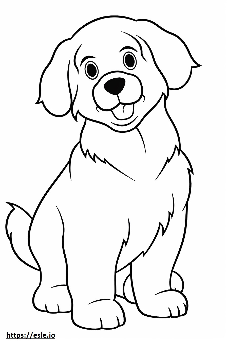 Bebê Bernese Mountain Dog para colorir