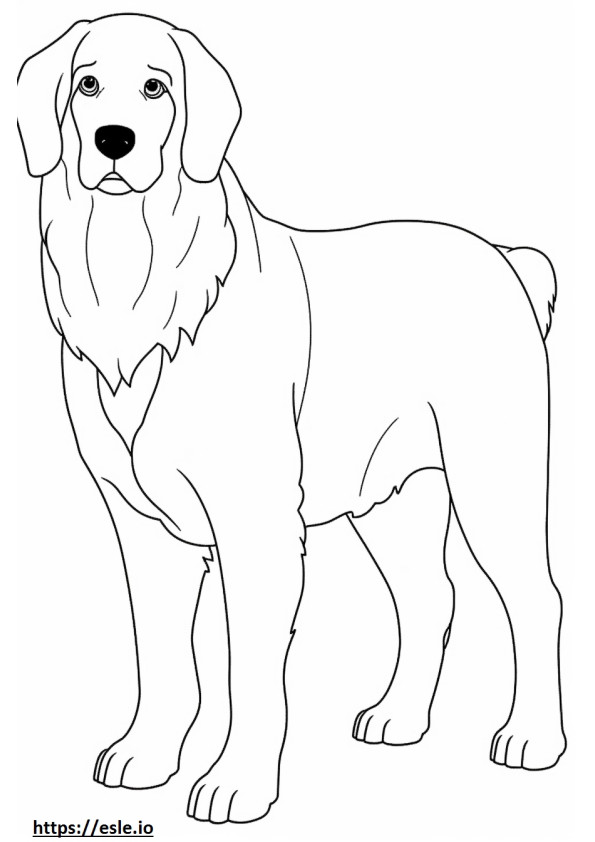 Bernese Mountain Dog full body coloring page