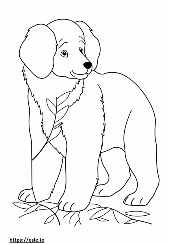 Bernese Mountain Dog baby coloring page