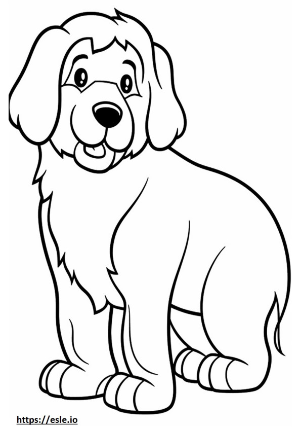 Bebê Bernese Mountain Dog para colorir