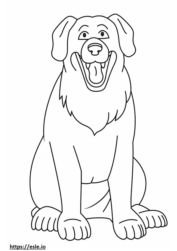 Bernese Dağ Köpeği gülümseme emojisi boyama