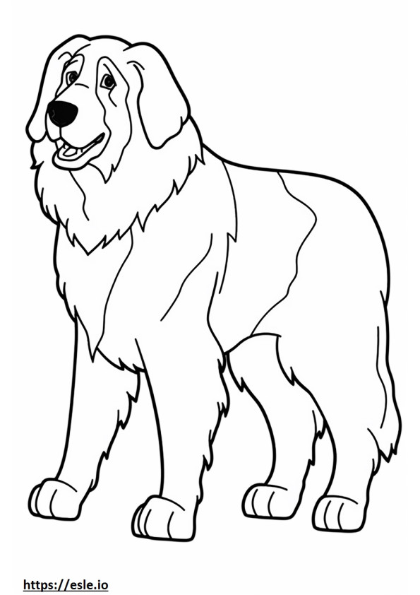 Bernese Mountain Dog cartoon coloring page