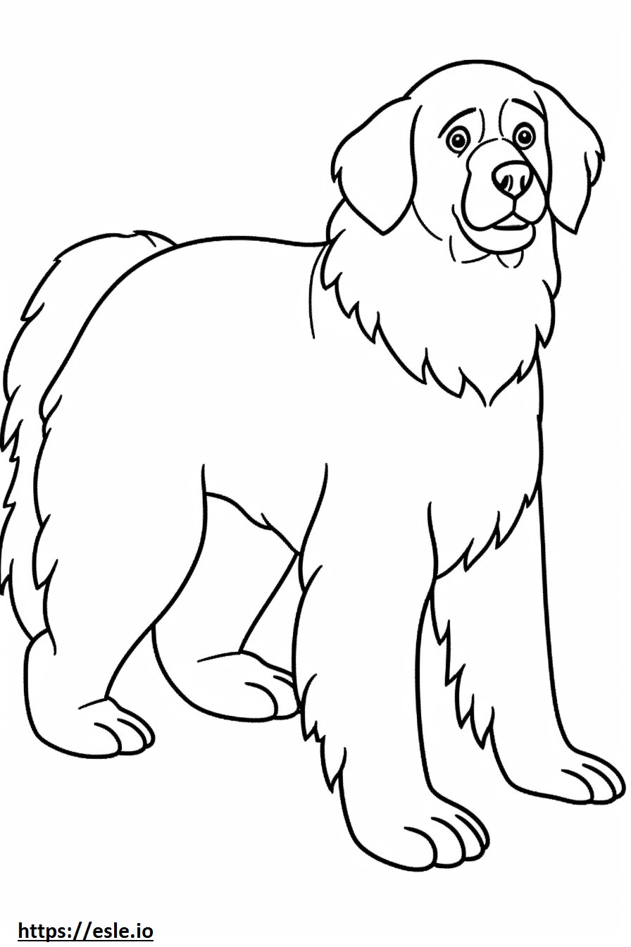 Berner Sennenhund-Cartoon ausmalbild