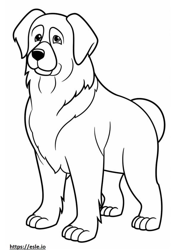 Bernese Dağ Köpeği karikatür boyama