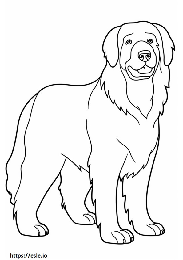 Bernese Mountain Dog cute coloring page