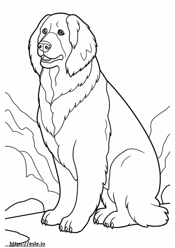 Bernese Mountain Dog fofo para colorir