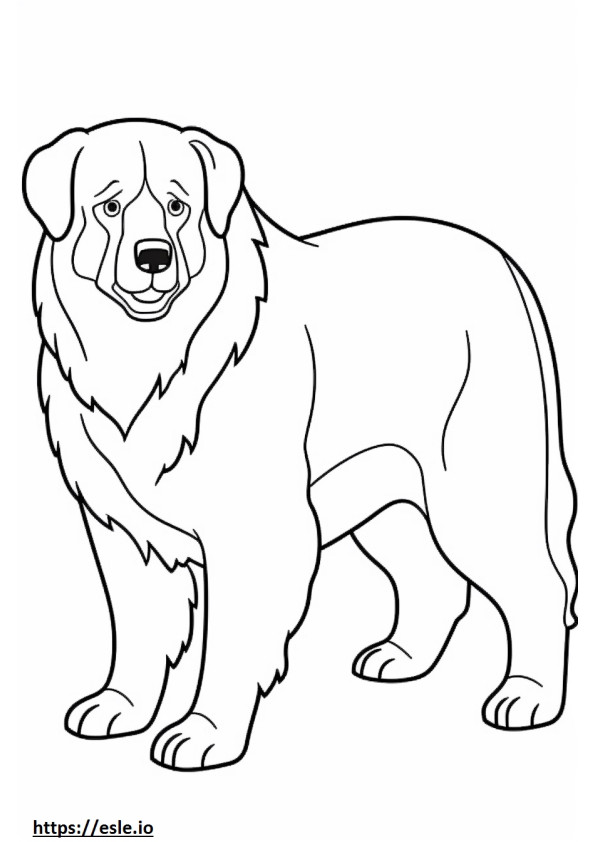 Berneński pies pasterski uroczy kolorowanka
