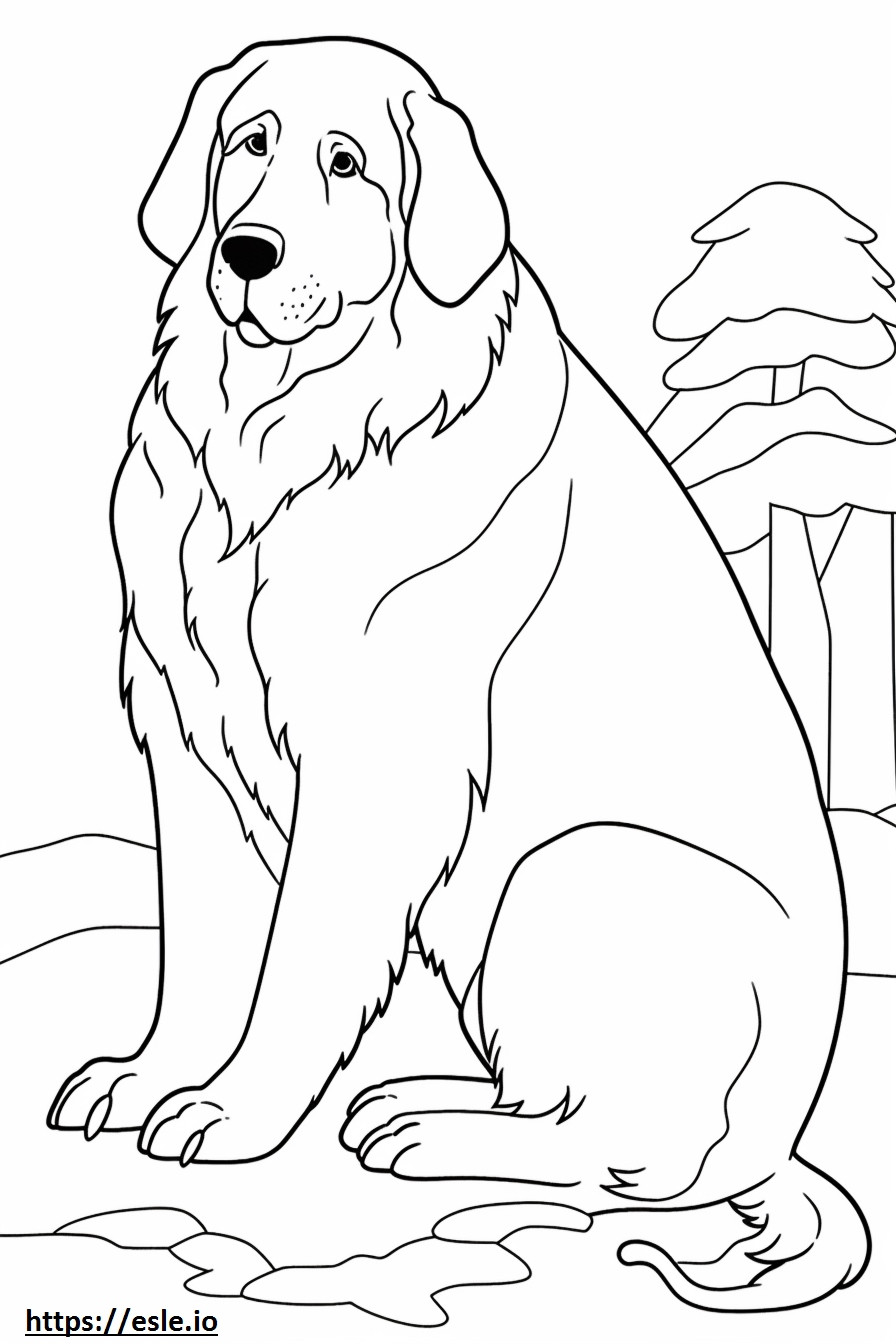 Berner Sennenhond schattig kleurplaat kleurplaat