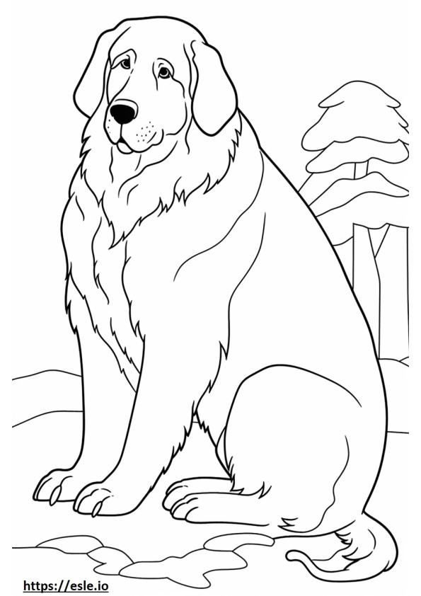 Bernese Mountain Dog fofo para colorir