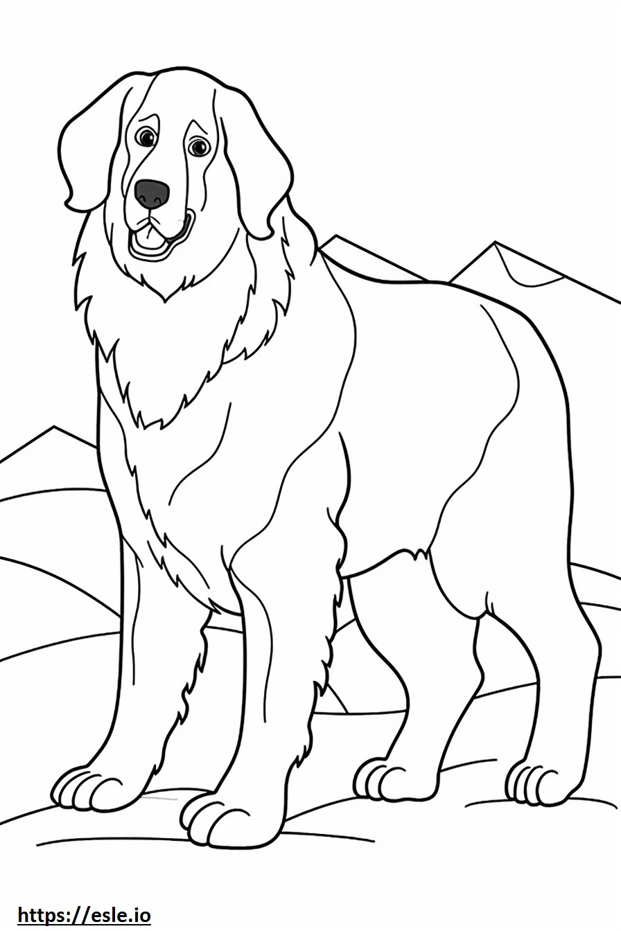 Bernese Mountain Dog happy coloring page