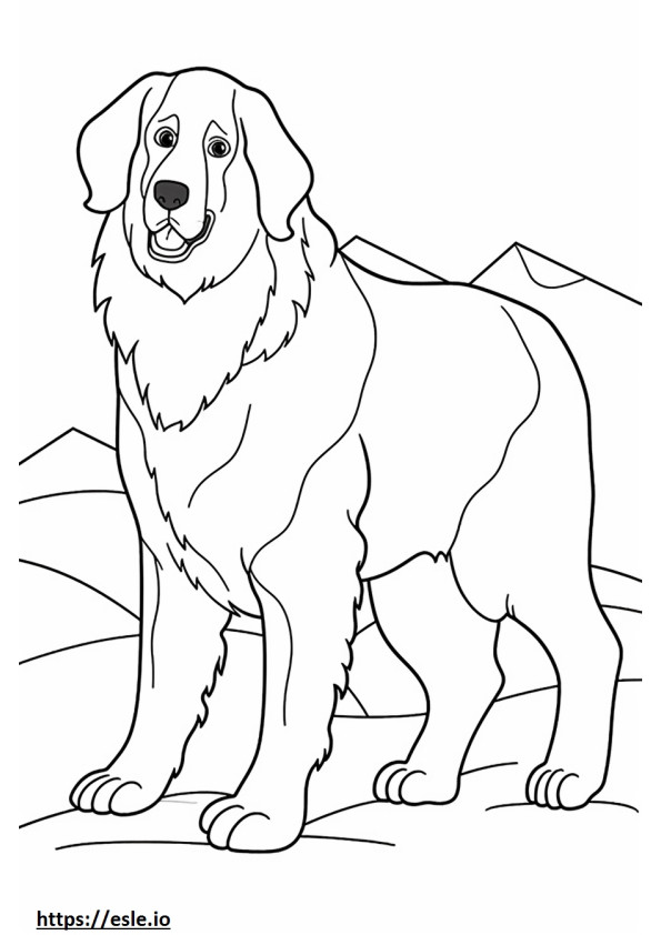 Berneński pies pasterski szczęśliwy kolorowanka