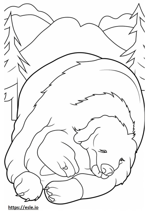 Bernese Mountain Dog Sleeping coloring page