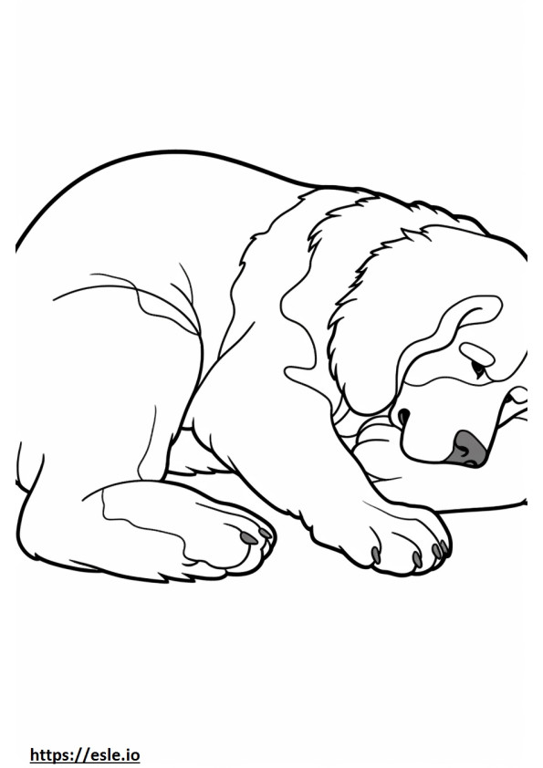 Anjing Gunung Bernese Tidur gambar mewarnai