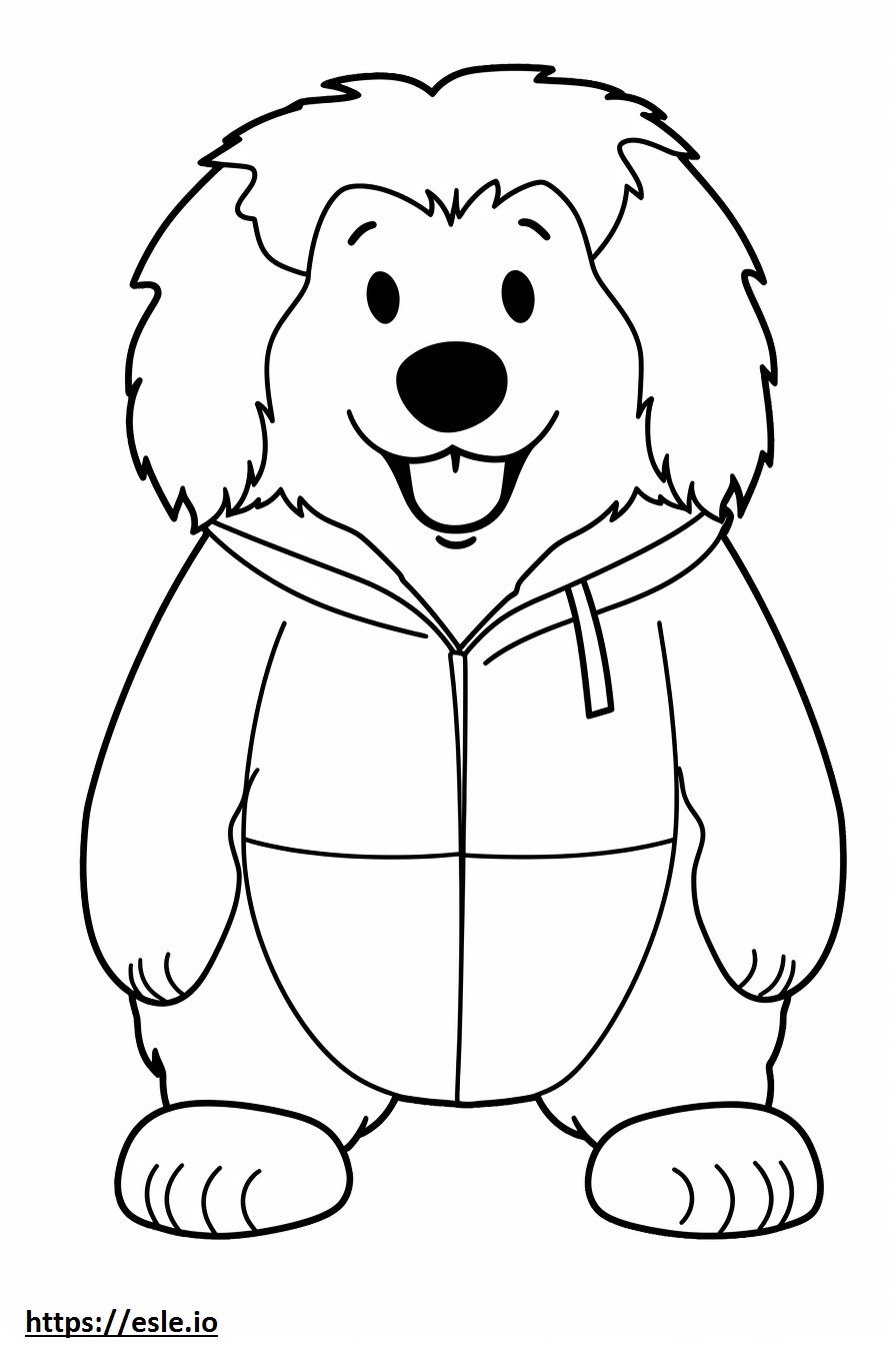 Cão da montanha Bernese Kawaii para colorir