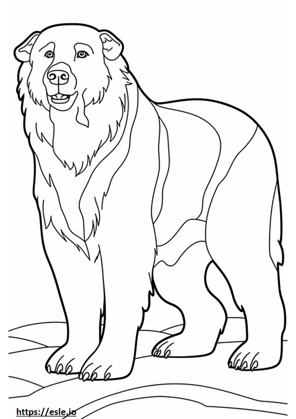 Bernese Mountain Dog Friendly coloring page