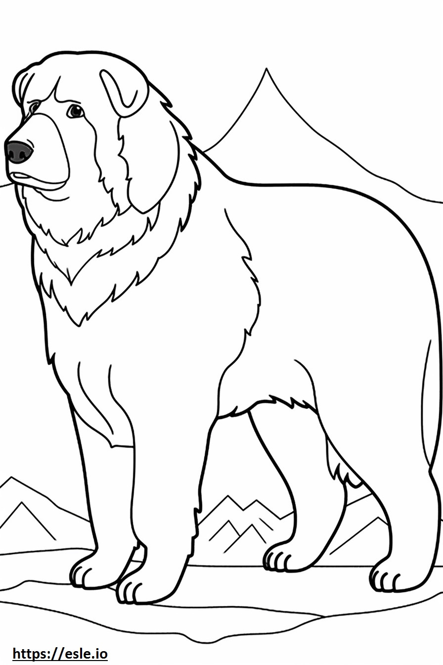 Amigável para cães de montanha Bernese para colorir