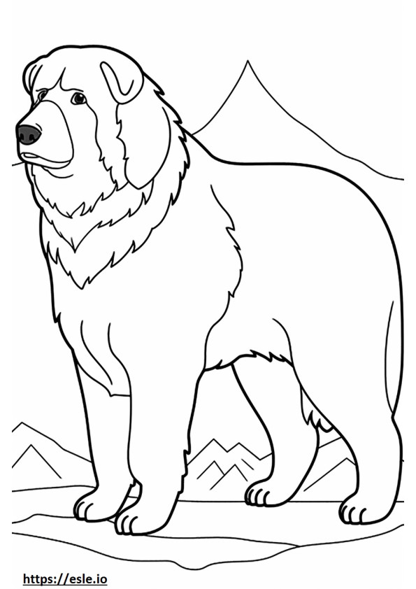 Amigável para cães de montanha Bernese para colorir