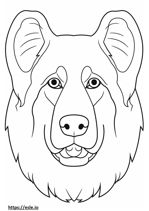 Gesicht des Berner Schäferhundes ausmalbild
