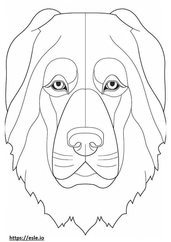 Bernese Shepherd face coloring page