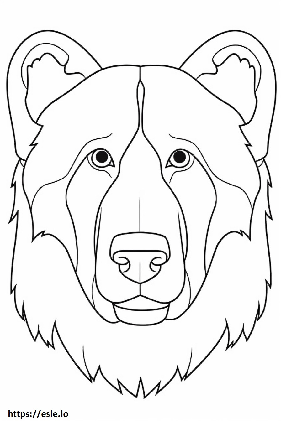 Gesicht des Berner Schäferhundes ausmalbild