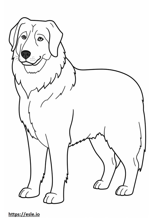 Berner Schäferhund Ganzkörper ausmalbild