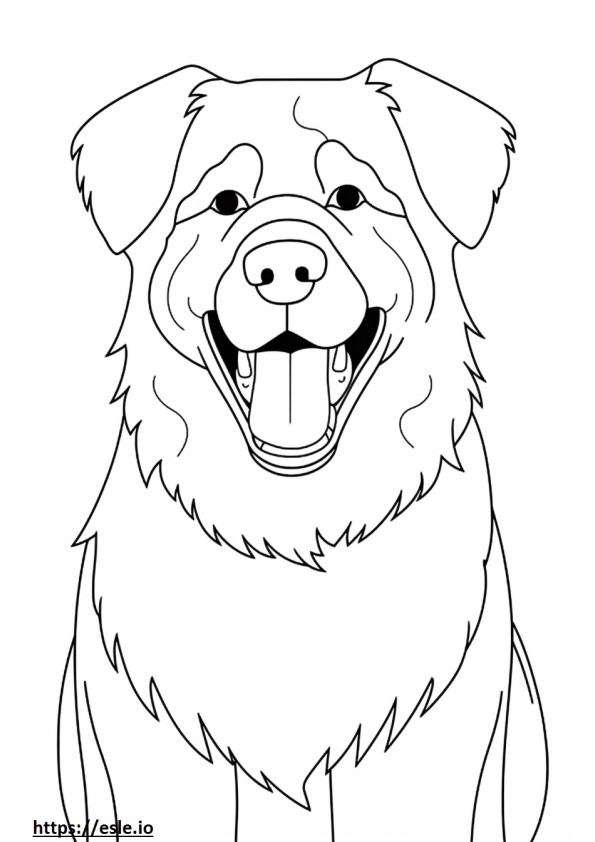 Berni juhászkutya mosoly emoji szinező