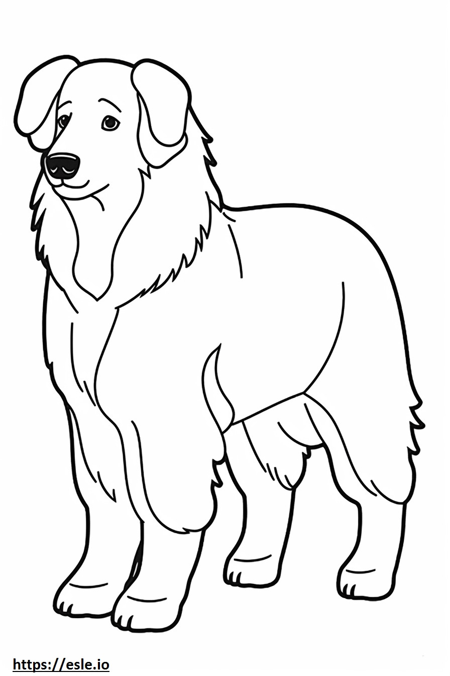 Bernese Shepherd cute coloring page