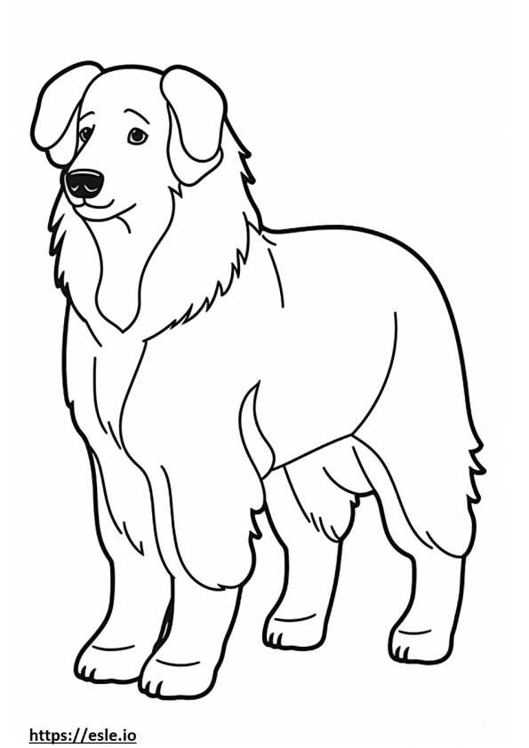 Bernese Shepherd cute coloring page