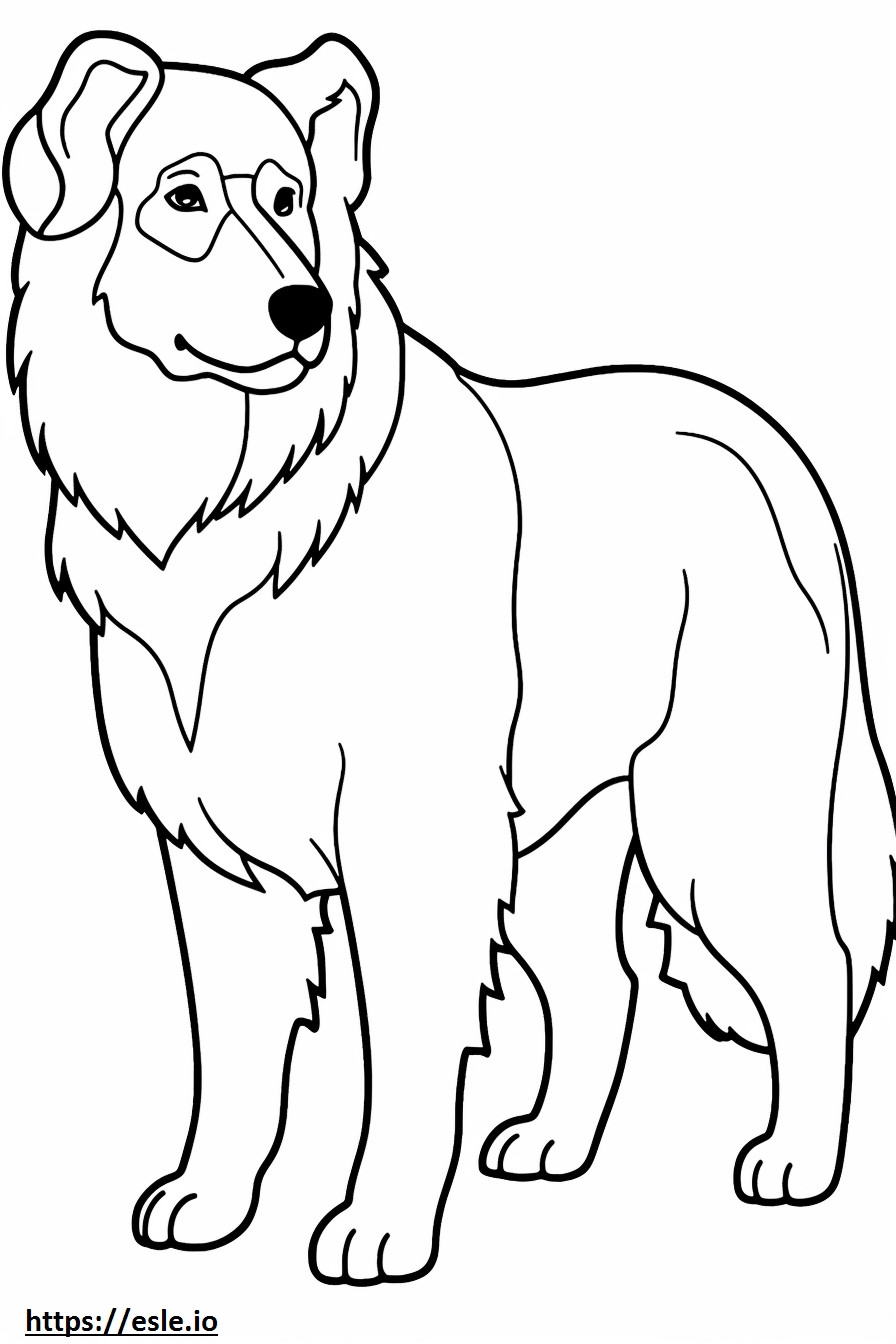 Berner Schäferhund-Cartoon ausmalbild