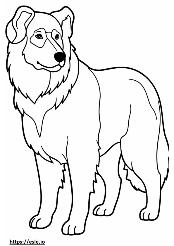 Bernese Çoban karikatür boyama
