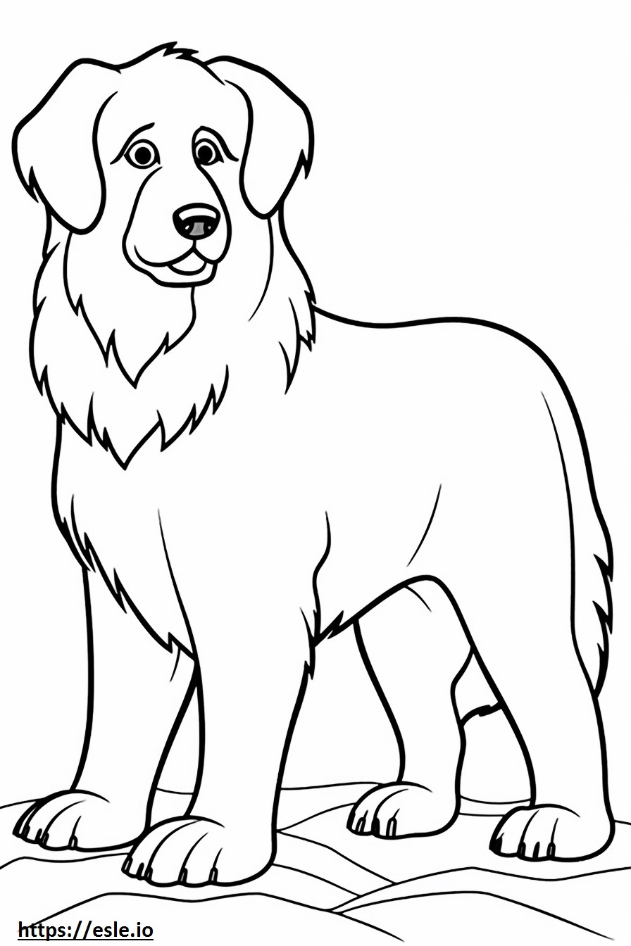 Bernese Shepherd cartoon coloring page