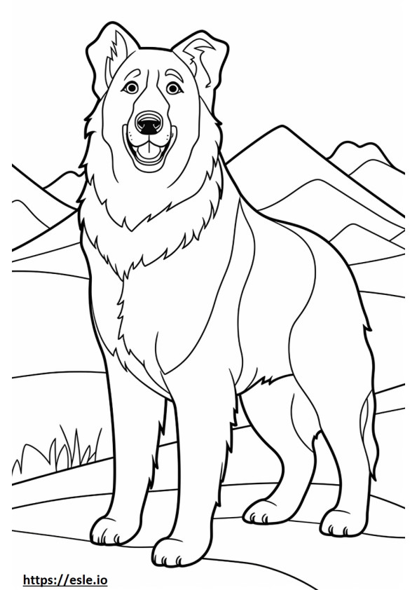 Bernese Shepherd happy coloring page