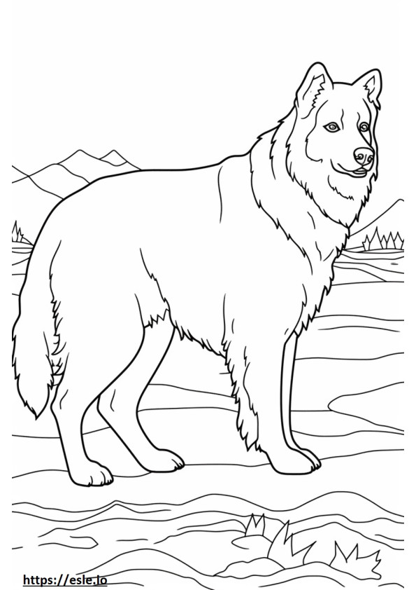 Bernese Shepherd Friendly coloring page