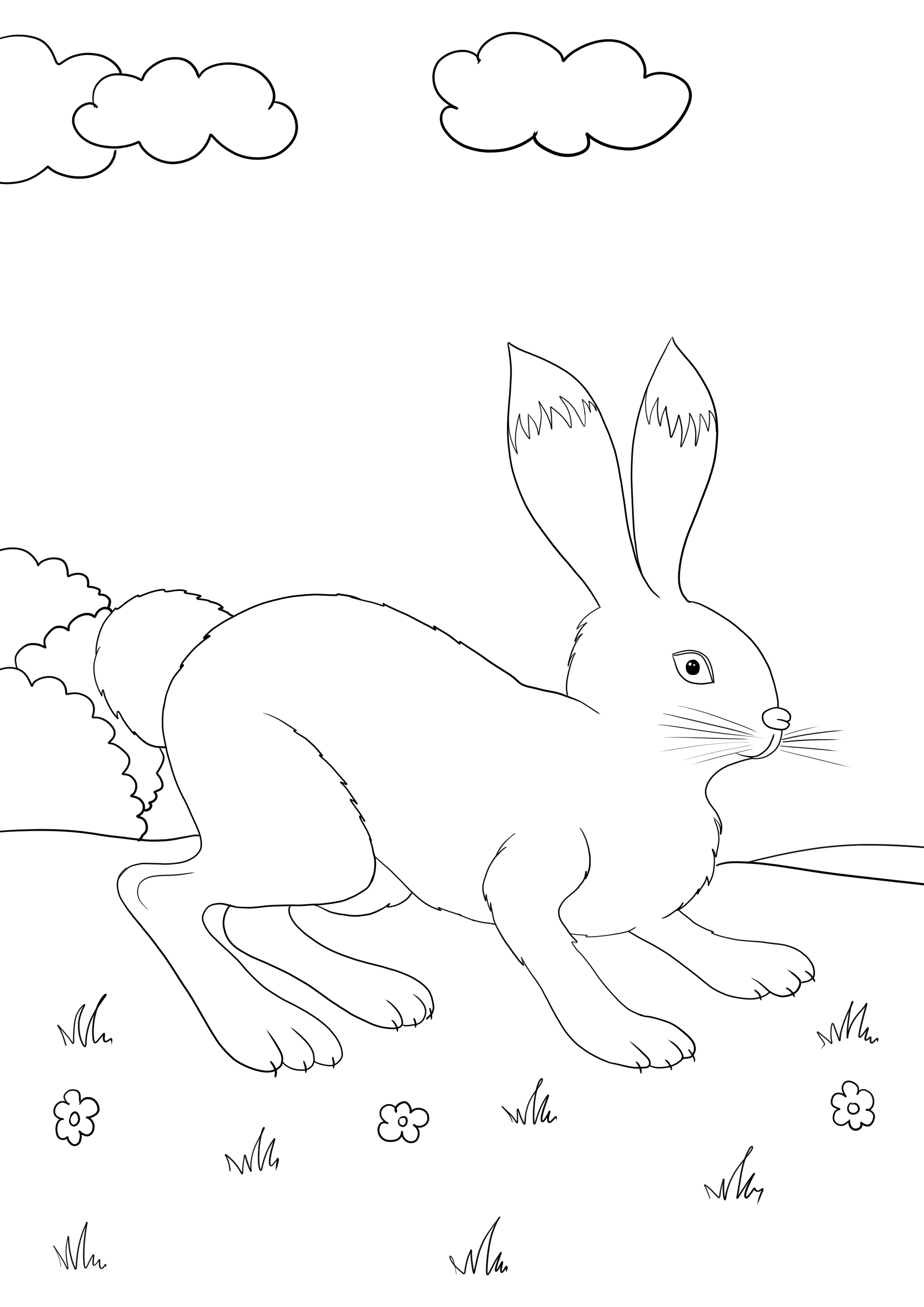 Ücretsiz renklendirmek ve yazdırmak için tarlada koşan tavşan