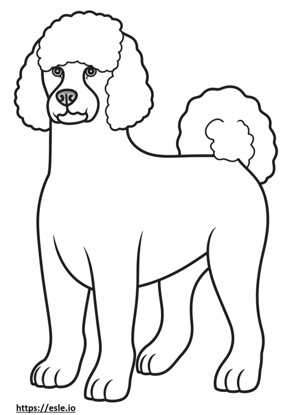Bichon Frise full body coloring page